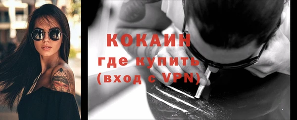 стафф Заводоуковск