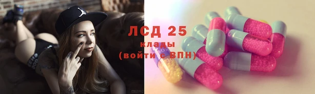 стафф Заводоуковск