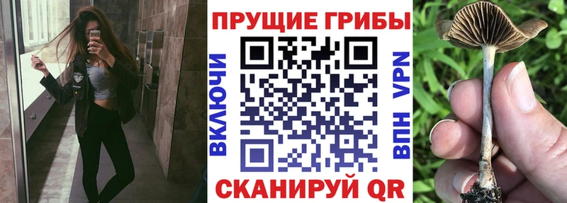 Галлюциногенные грибы ЛСД закладки Ивантеевка