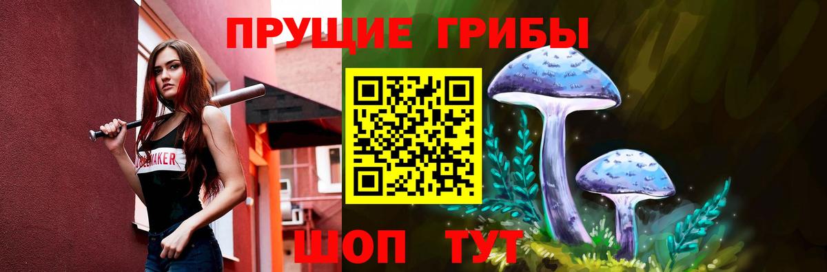 Псилоцибиновые грибы GOLDEN TEACHER  Вход с VPN  Галлюциногенные грибы Magic Shrooms  Ивантеевка 